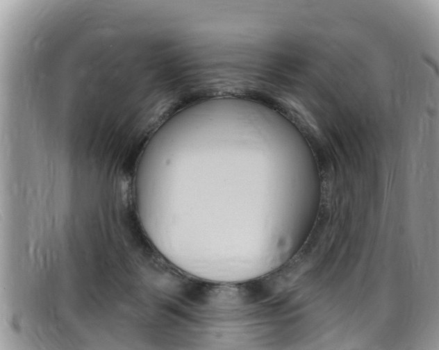 X0000099440123200805090756