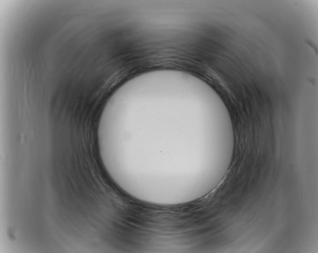 X0000099440124200805090756