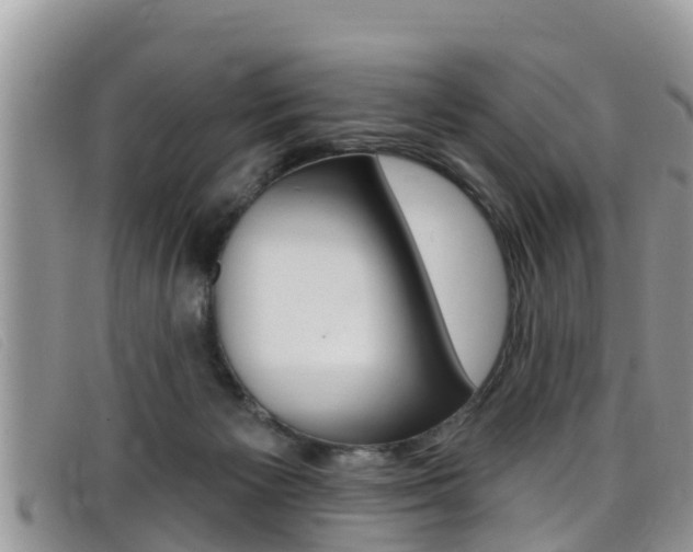 X0000099440125200805090756