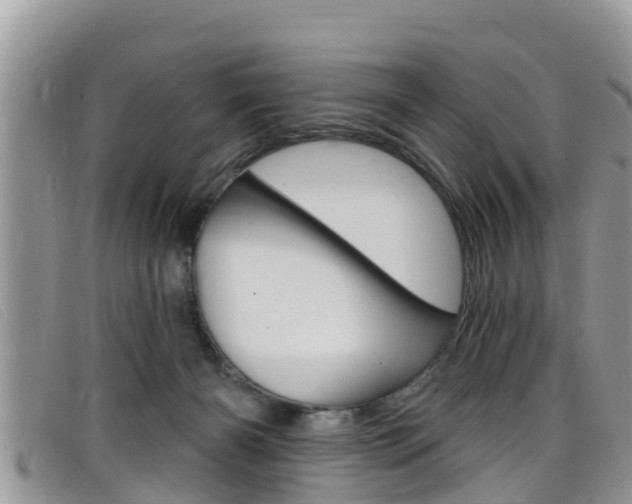 X0000099440126200805090756