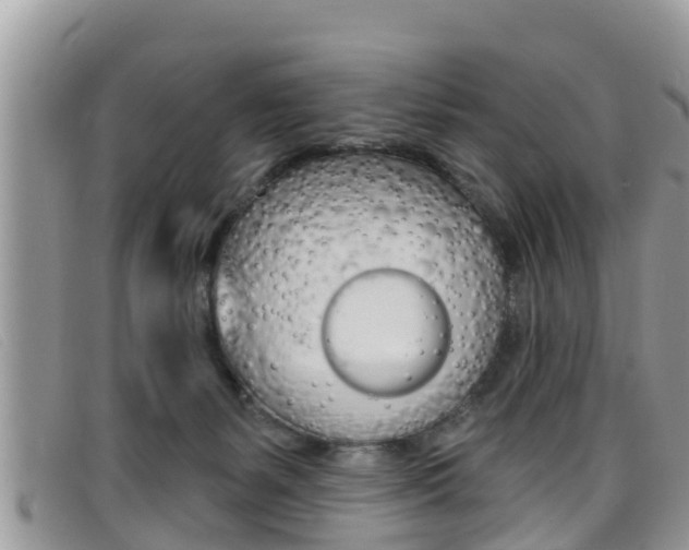 X0000099440127200805090756