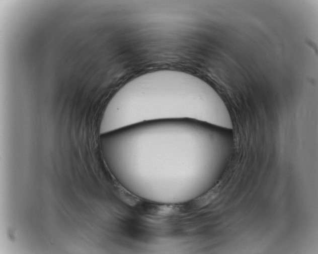 X0000099440130200805090756