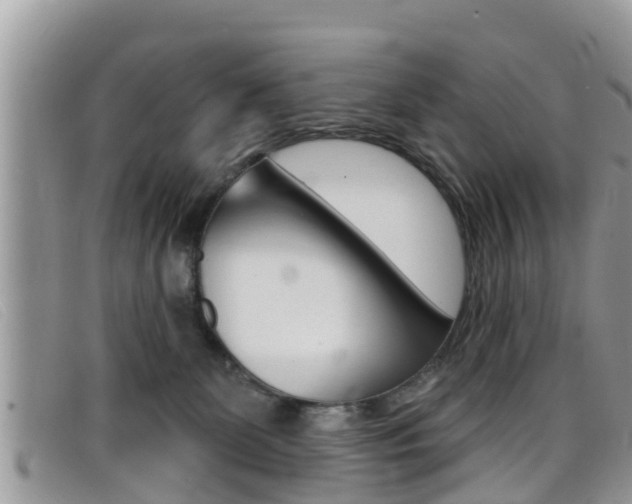 X0000099440131200805090756