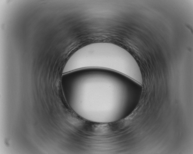 X0000099440132200805090756