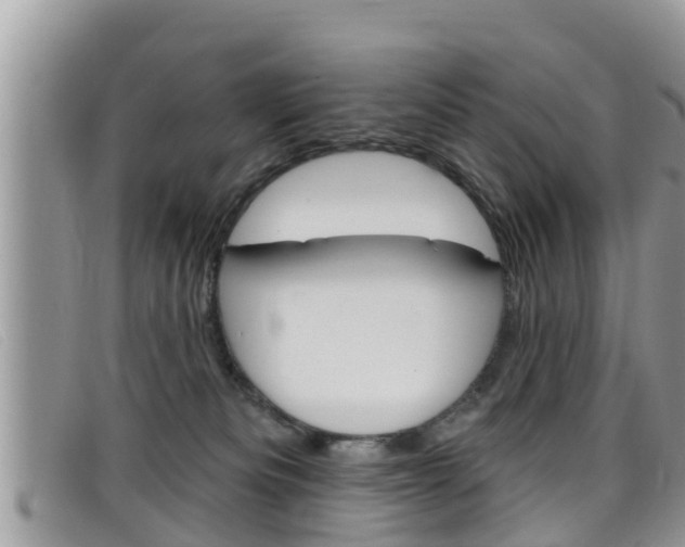 X0000099440133200805090756