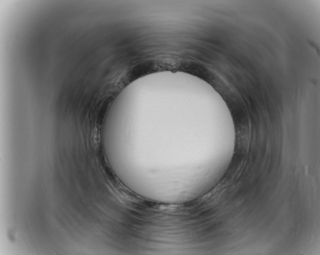 X0000099440134200805090756