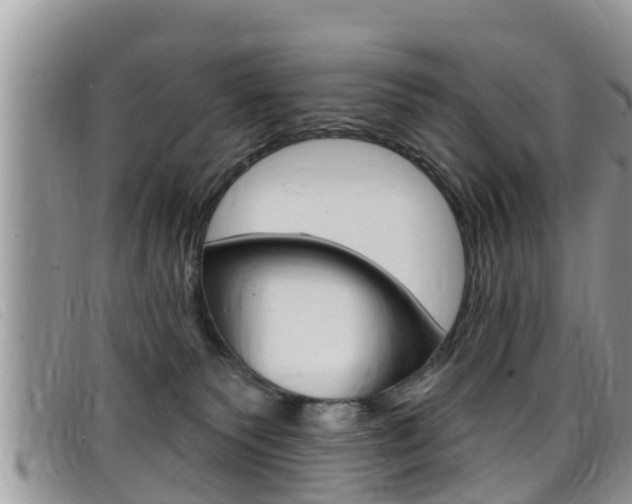X0000099440135200805090756