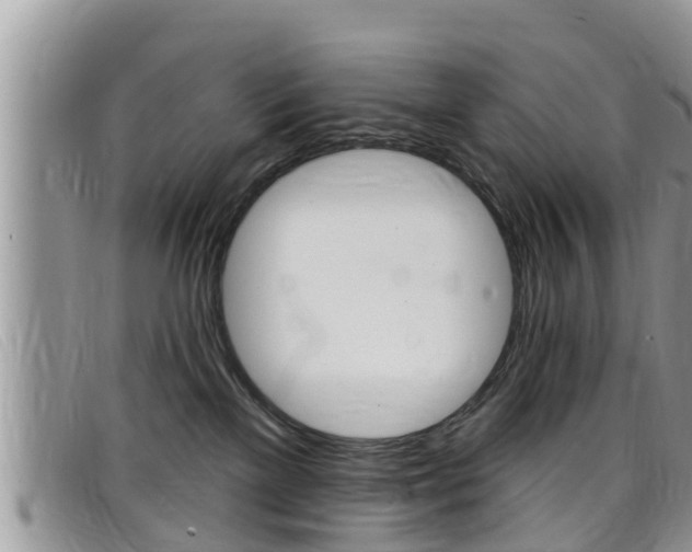 X0000099440137200805090756