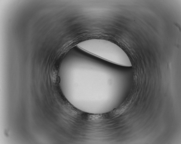 X0000099440139200805090756