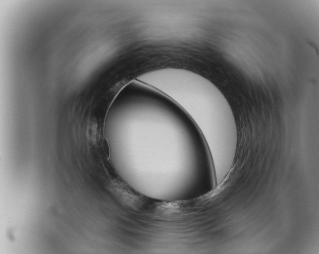 X0000099440140200805090756