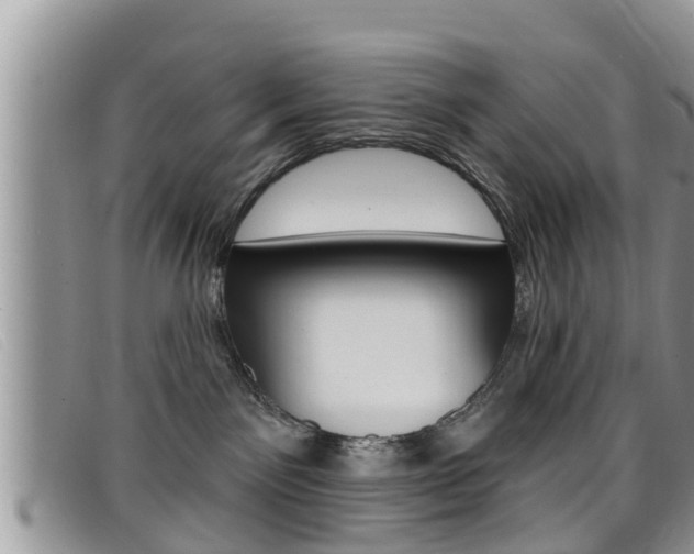 X0000099440141200805090756