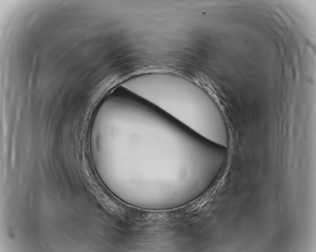 X0000099440145200805090755