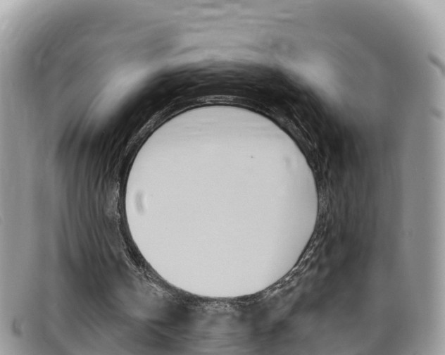 X0000099440146200805090755
