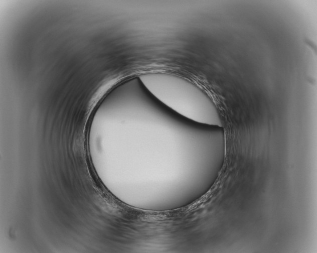 X0000099440147200805090755