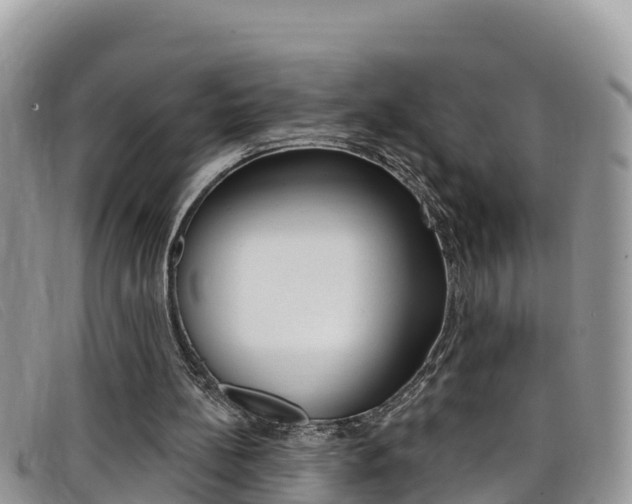 X0000099440148200805090755