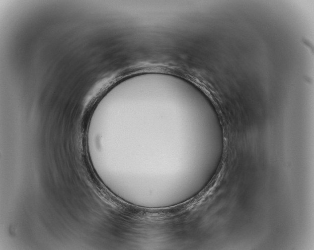 X0000099440149200805090755