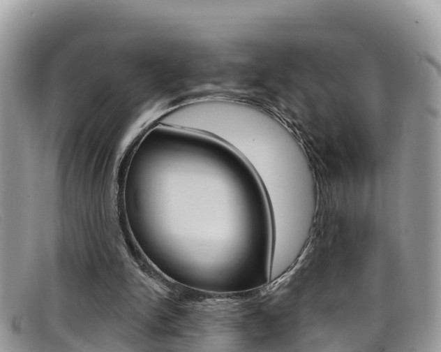 X0000099440150200805090755