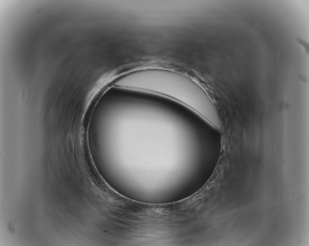 X0000099440152200805090755