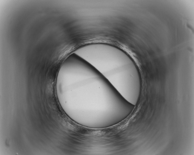 X0000099440153200805090755