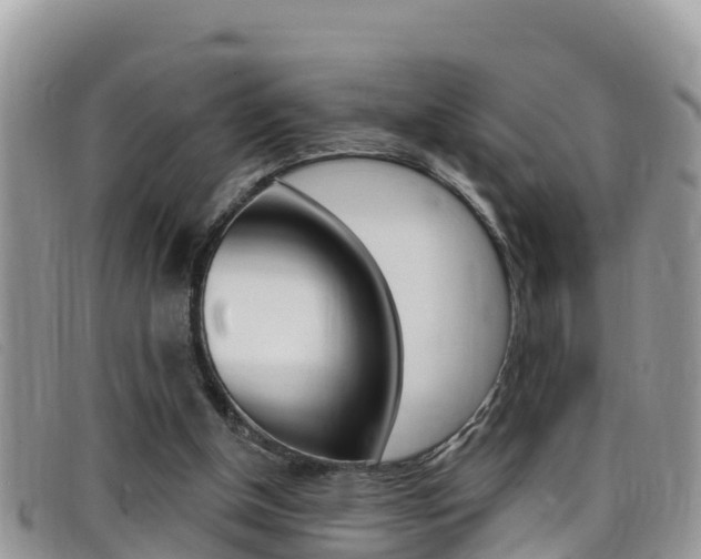 X0000099440154200805090755