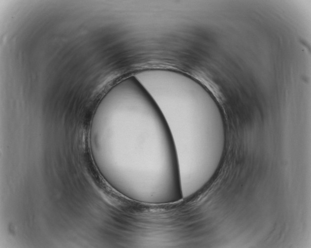 X0000099440157200805090755