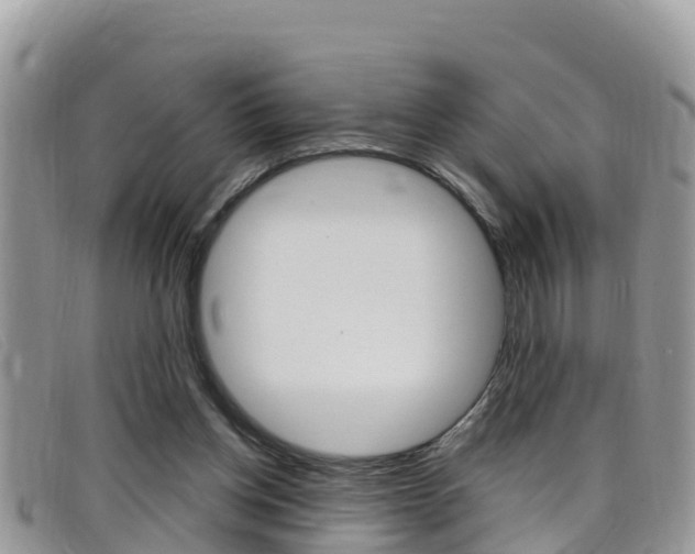X0000099440158200805090755