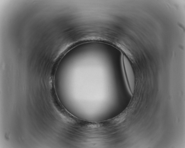 X0000099440160200805090755