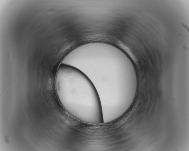 X0000099440161200805090755