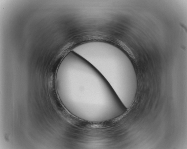 X0000099440163200805090755