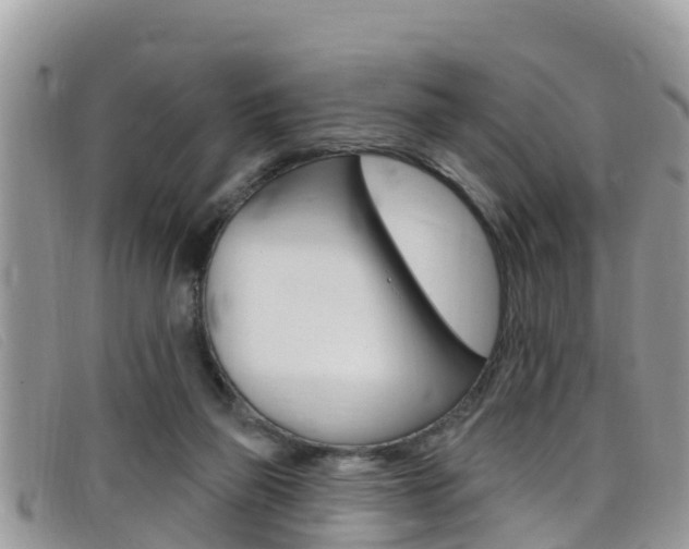 X0000099440165200805090755