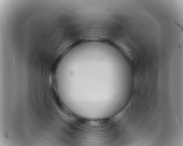 X0000099440166200805090755