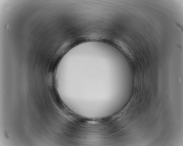 X0000099440167200805090755