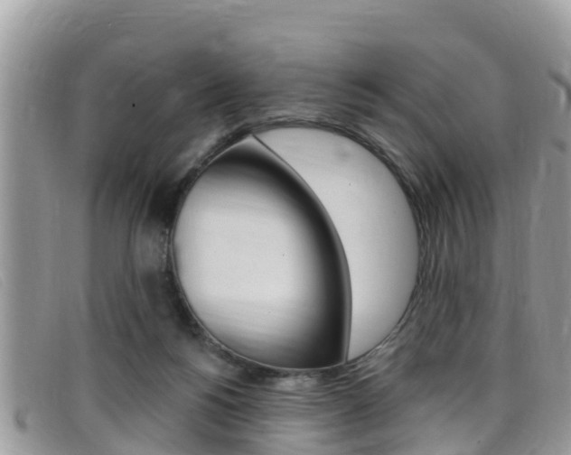 X0000099440168200805090755