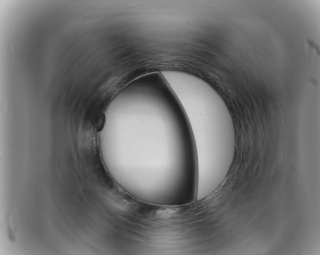X0000099440172200805090755
