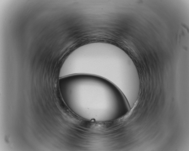 X0000099440174200805090755