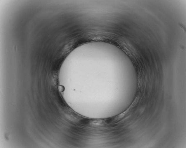 X0000099440175200805090755