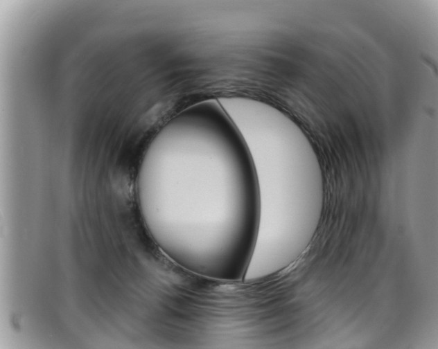 X0000099440176200805090755