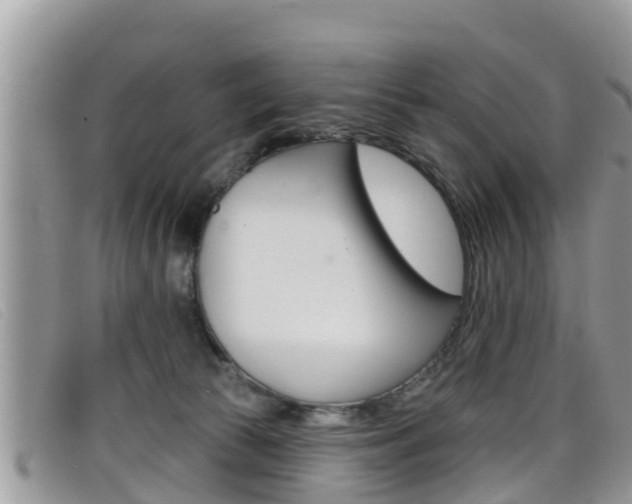 X0000099440177200805090755