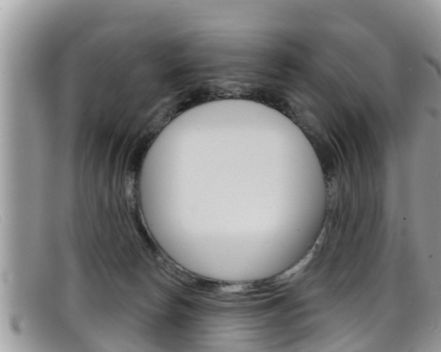 X0000099440178200805090755