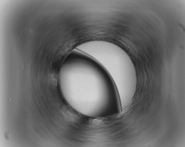 X0000099440180200805090755