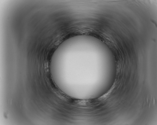 X0000099440182200805090755