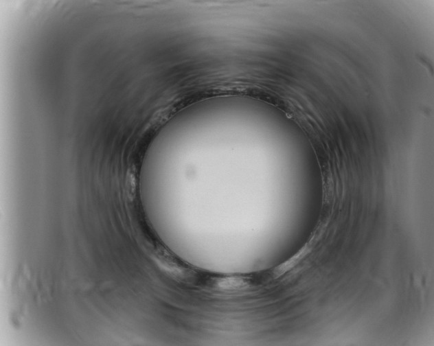 X0000099440183200805090755