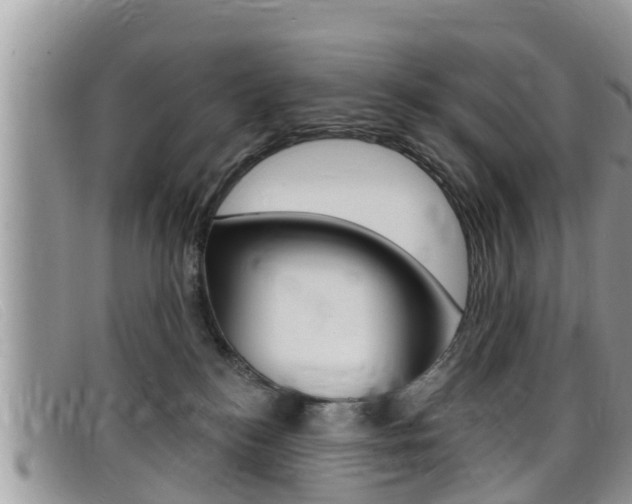 X0000099440184200805090755