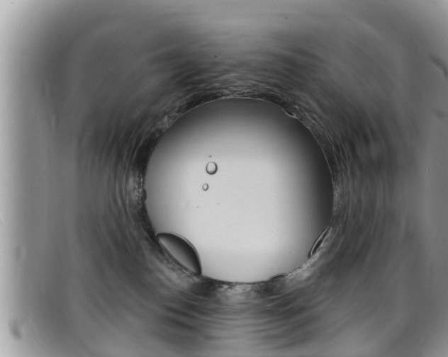 X0000099440186200805090755