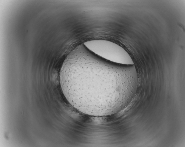 X0000099440187200805090755