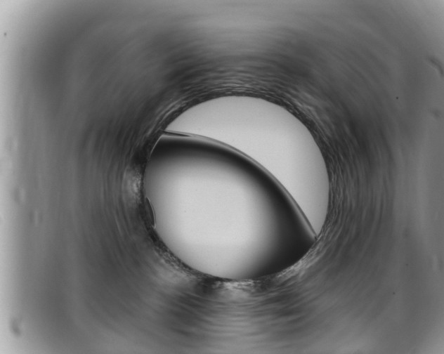X0000099440188200805090755