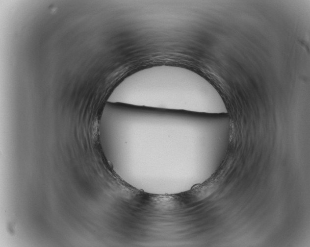 X0000099440189200805090755