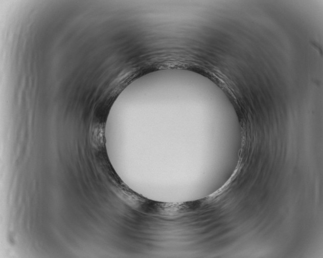 X0000099440191200805090756