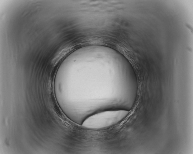 X0000099440194200805090755
