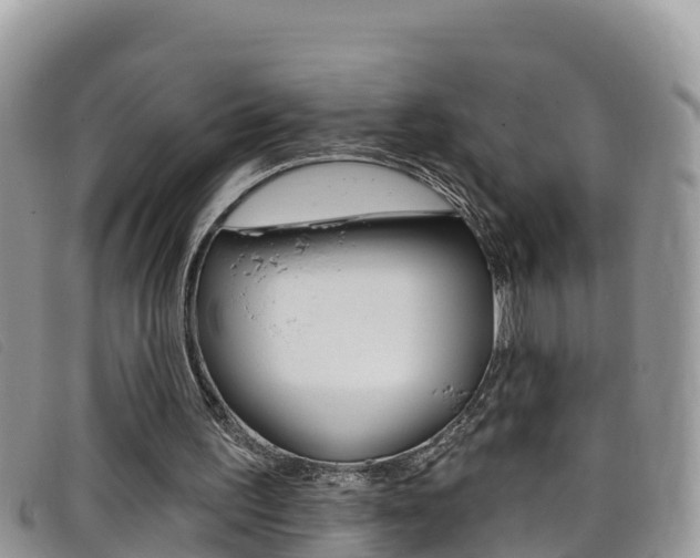 X0000099440195200805090755